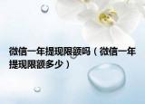 微信一年提现限额吗（微信一年提现限额多少）