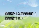酒酿是什么菌发酵的（酒酿是什么）