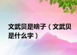 文武贝是啥子（文武贝是什么字）
