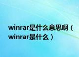 winrar是什么意思啊（winrar是什么）