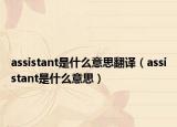 assistant是什么意思翻译（assistant是什么意思）