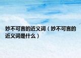 妙不可言的近义词（妙不可言的近义词是什么）