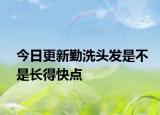 今日更新勤洗头发是不是长得快点