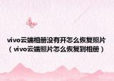 vivo云端相册没有开怎么恢复照片（vivo云端照片怎么恢复到相册）