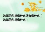 冰花的形状像什么还会像什么（冰花的形状像什么）