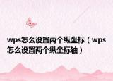 wps怎么设置两个纵坐标（wps怎么设置两个纵坐标轴）