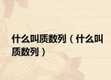 什么叫质数列（什么叫质数列）