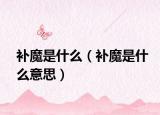 补魔是什么（补魔是什么意思）
