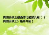 真假美猴王是西游记的第几章（《真假美猴王》是第几回）