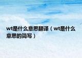 wt是什么意思翻译（wt是什么意思的简写）