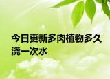 今日更新多肉植物多久浇一次水