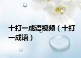 十打一成语视频（十打一成语）
