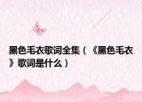 黑色毛衣歌词全集（《黑色毛衣》歌词是什么）