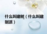 什么叫建树（什么叫建制派）