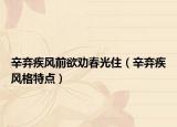 辛弃疾风前欲劝春光住（辛弃疾风格特点）