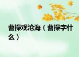 曹操观沧海（曹操字什么）