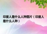 印度人是什么人种图片（印度人是什么人种）
