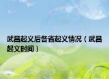 武昌起义后各省起义情况（武昌起义时间）