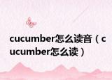 cucumber怎么读音（cucumber怎么读）