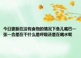 今日更新在没有食物的情况下鱼儿嘴巴一张一合是在干什么是呼吸还是在喝水呢