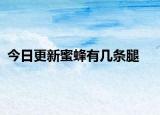 今日更新蜜蜂有几条腿