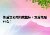 煅后焦和煅前焦指标（煅后焦是什么）