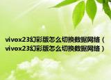 vivox23幻彩版怎么切换数据网络（vivox23幻彩版怎么切换数据网络）