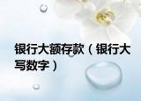 银行大额存款（银行大写数字）