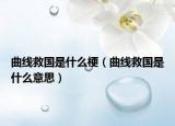 曲线救国是什么梗（曲线救国是什么意思）