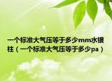 一个标准大气压等于多少mm水银柱（一个标准大气压等于多少pa）