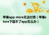 苹果app store无法付费（苹果store下载不了app怎么办）