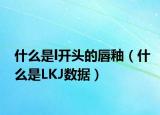 什么是l开头的唇釉（什么是LKJ数据）