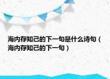 海内存知己的下一句是什么诗句（海内存知己的下一句）