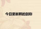 今日更新鹤的别称
