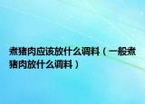 煮猪肉应该放什么调料（一般煮猪肉放什么调料）