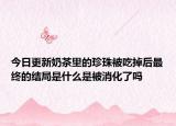 今日更新奶茶里的珍珠被吃掉后最终的结局是什么是被消化了吗