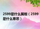2599是什么属相（2599是什么意思）