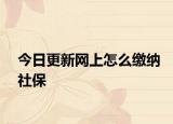 今日更新网上怎么缴纳社保