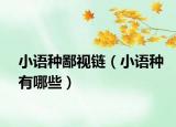 小语种鄙视链（小语种有哪些）
