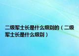 二级军士长是什么级别的（二级军士长是什么级别）
