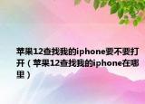 苹果12查找我的iphone要不要打开（苹果12查找我的iphone在哪里）