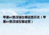 苹果xr悬浮球在哪设置开关（苹果xr悬浮球在哪设置）