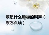 唳是什么动物的叫声（唳怎么读）