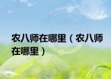 农八师在哪里（农八师在哪里）