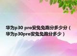 华为p30 pro安兔兔跑分多少分（华为p30pro安兔兔跑分多少）