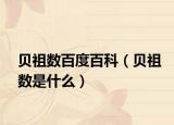 贝祖数百度百科（贝祖数是什么）