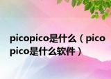 picopico是什么（picopico是什么软件）