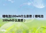 锂电池100wh什么意思（锂电池100wh什么意思）