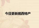 今日更新揭西特产