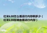 红米k30怎么看运行内存剩多少（红米k30在哪查看运行内存）